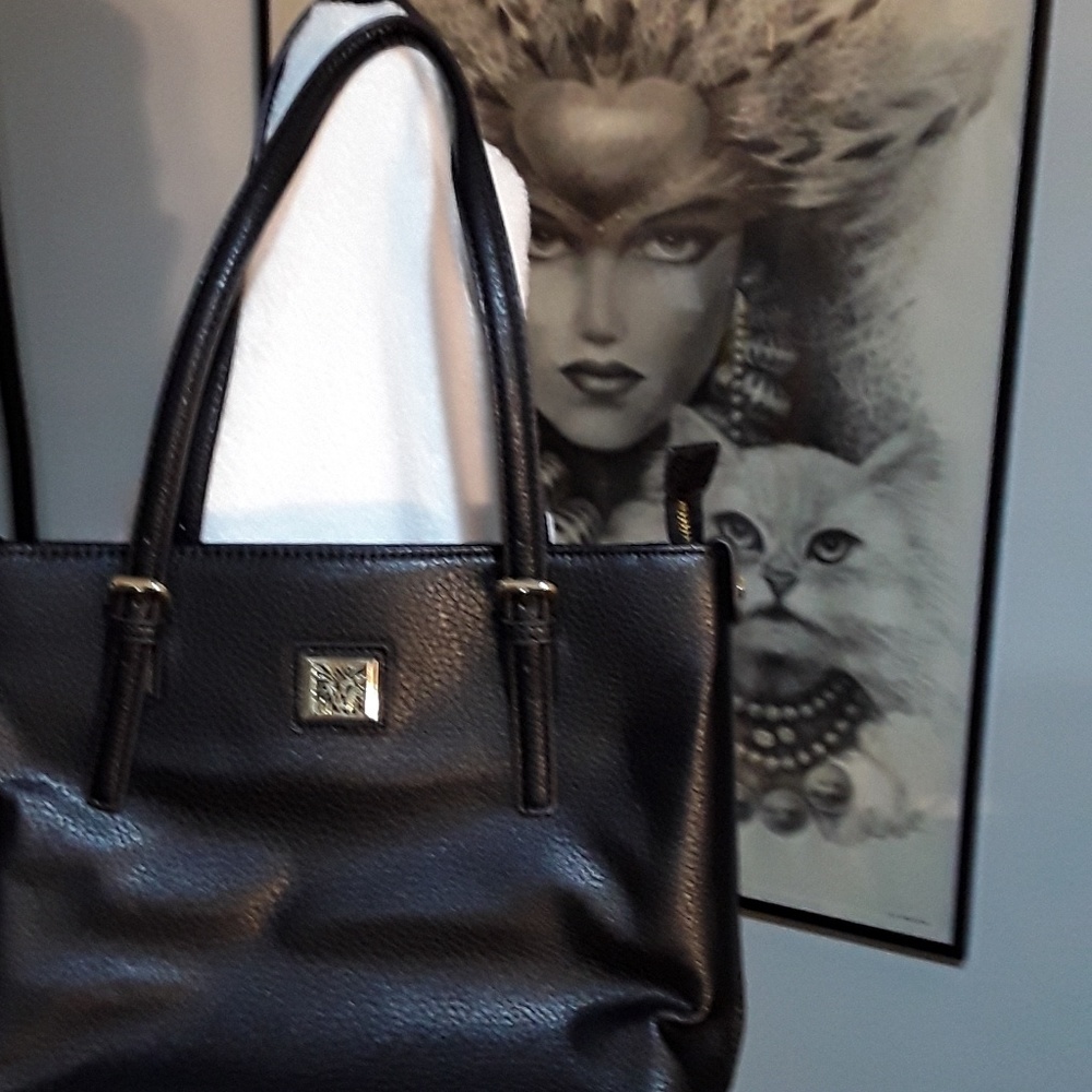 Anne Klien purse